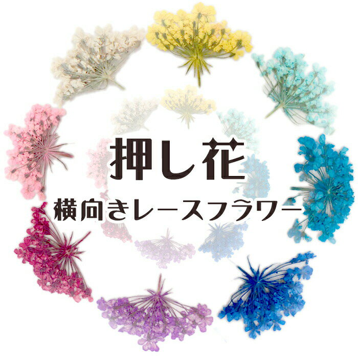 デコパーツ【71.押し花 横向きレースフラワー】6色 花 ドライフラワー 赤 レッド ピンク 水色 ブルー 紫 パープル カラフル セット 小さめ レジン 貼り絵 コラージュ ハーバリウム 高品質 真空パック 花材 材料 素材 DIY 国内発送