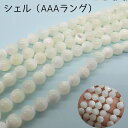 【10 オフクーポン 4/21まで】シェルパーツ【40cm 丸 ビーズ】ホワイト2mm 4mm 6mm 8mm 貝 天然素材 ハンドメイド 国内発送