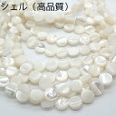 シェルパーツ【40cm 円ビーズ】連 ホワイト約6mm 8mm 貝 天然素材 ハンドメイド 国内発送