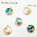 【388】アバロンシェル ホワイトシェル チャーム 月 星 雪 トナカイ クリスマス アクセサリー パーツ