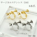 ステンレス316 ネジバネイヤリング カン付き【6爪】3mm 4mm 10個 サージカルステンレス ハンドメイド