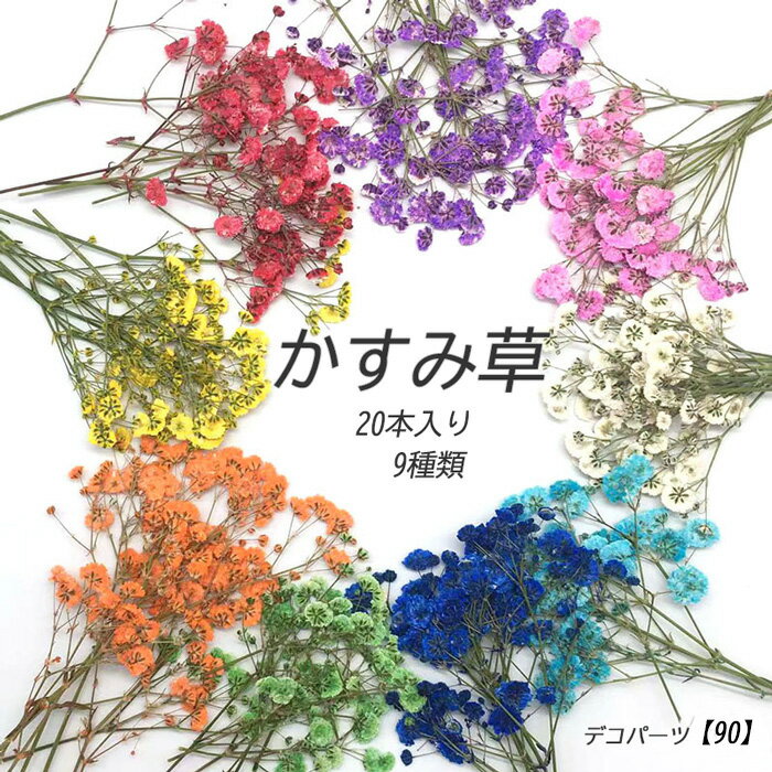 デコパーツ【90.押し花 かすみ草 20本入り】 ドライフラワー 小さい 小さめ レッド ピンク 水色 ブルー 紫 パープル カラフル セット アソート レジン 貼り絵 コラージュ ハーバリウム 真空パック 花材 材料 素材 DIY 国内発送