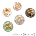 【在庫限り】カボション【83.貝とヒトデ 2個売り】 シェル 貝殻 海星 ひとで 星 スター ボタン パーツ ハンドメイド チャーム 手作り 夏休み 砂浜 夏 ...