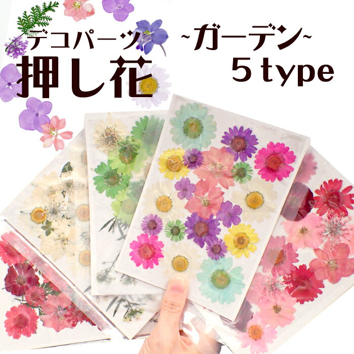 デコパーツ【51.押し花～ガーデン～】 花 ドライフラワー 薔薇 バラ 赤 レッド ピンク 紫 パープル カラフル セット …