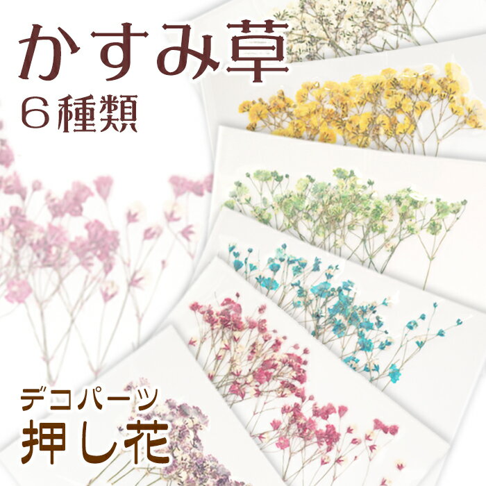 デコパーツ【70.押し花 かすみ草】 ドライフラワー 小さい 小さめ レッド ピンク 水色 ブルー 紫 パープル カラフル …