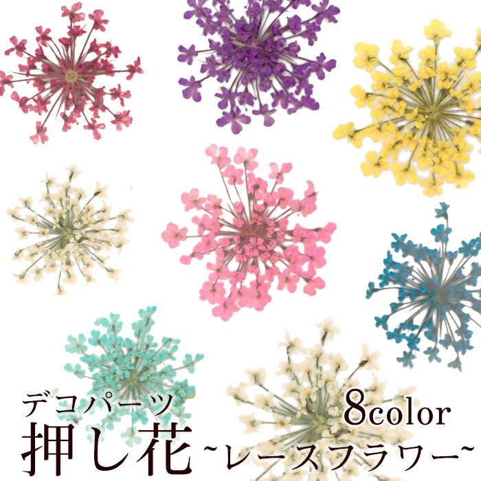 デコパーツ【44. 押し花 レースフラワー】 花 ドライフラワー 小さめ 小さい 押し花ネイル レッド ピンク ブルー パ…