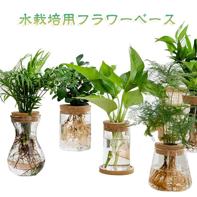 楽天市場】多肉植物（花瓶｜インテリア小物・置物）：インテリア・寝具