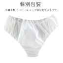 薄手 ショーツ 使い捨て 不織布 ペーパーショーツ 介護 使い捨てショーツ 使い捨てパンツ 女性用 ペーパーパンツ パンツ 携帯 使い捨て ディスポ 100枚入 100枚入 紙パンツ 入院 レディース ショーツ パンツ エステ用品 サウナパンツ 業務用 非常時