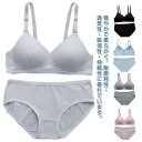 ブラジャー 補正ブラ ブラショーツ ショーツ 下着 ブラ 上下セット セット 育乳 ブラセット セットアップ レディース ブラジャー ブラショーツセット 育乳ブラ 下着セット 脇 脇高 かわいい