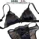 締め付けない ノンワイヤー パンティー ショーツ 通気性 ナイトブラ シルクブラ 楽ちん 下着 サテン セット ブラジャー メッシュ 軽い 軽量 超脇高 ナイトブラ 肌ざわり 吸湿速乾 下着 小胸 盛れる ノンワイヤーブラ 可愛い ブラ ワイヤレス ギフト プレゼント