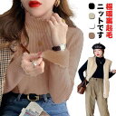 ニット ニット トップス 裏起毛ニット レディース 裏起毛 リブ あったか 暖か セーター タートルネック タートルネック 裏毛 秋冬 極暖