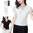 半袖 vネック フィット感 レディース レース トップス tシャツ 無地 ショート丈 おしゃれ きれいめ 女性用 コーデ 薄手 シンプル カジュアル セクシー キュート 夏 大人 上品 着瘦せ 通勤 ブラック ホワイト 送料無料