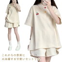 スウェット 半袖 ポロシャツ ショートパンツ 上下セット レディース 半袖tシャツ スウェットパンツ 薄手 シンプル カジュアル ゆったり Tシャツ ハーフパン...