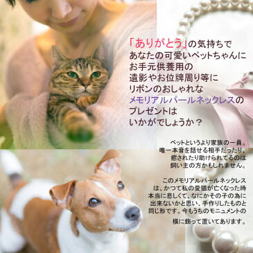 ペット 手元供養 お供え 飾り 猫 犬 うさぎ 小動物 鳥 メモリアル 分骨 お位牌 遺骨 骨壺 お仏壇 お飾りお祈りセット ネックレス ペット 遺骨ペンダント ネコ ワンちゃん 手元供養 プレゼント アクセサリー ギフト 送料無料