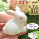 遺骨入れ 兎 うさぎ ウサギ ミニ骨壷 ペット 分骨 お骨入れ 手元供養 陶器 骨壺 可愛い 日本製 有田焼 手のひらサイズ ペット仏具 メモリアル 供養 仏壇...
