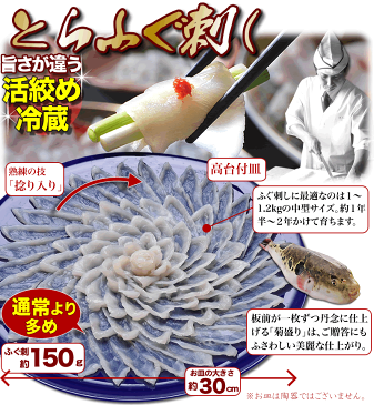 ふぐ グルメ大賞連続受賞の店 当店こだわりセット!「とらふぐ厳選コース4-5人前/冷蔵」【プレゼント・お祝い・内祝】【ふぐ・ふぐ鍋】【送料無料】お歳暮 【ギフト】【楽ギフ_のし】【てっちり・てっさ】【RCP】