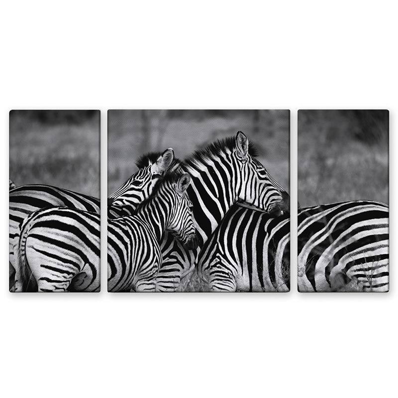 【スーパーセール限定価格】 アートパネル ゼブラ シマウマ モノクロ 風景 3枚セット アートフレーム 壁飾り インテリア アートパネル 絵画 インテリア 壁掛...