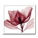 【スーパーセール限定価格】 アートパネル X-rey 写真 Red Magnolia 赤いモクレン 花 アートフレーム 玄関に飾る絵画 おしゃれ 絵画 インテリ...
