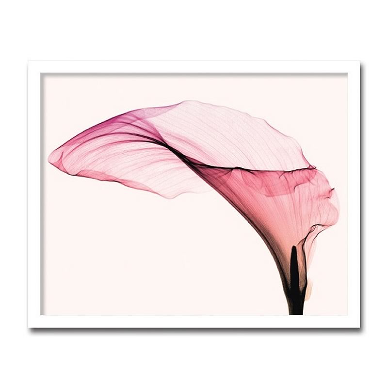 【スーパーセール限定価格】 アートパネル X-rey 写真 Giant Calla ジャイアント カラー 花 アートフレーム 玄関に飾る絵画 絵画 インテリア ...