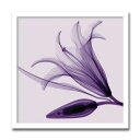 【スーパーセール限定価格】 アートパネル X-rey 写真 Lily & Bud ユリ 花 アートフレーム 玄関に飾る絵画 絵画 インテリア 壁掛け 額装込 リ...