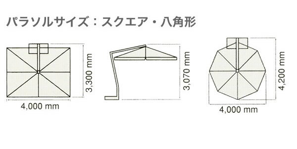 �����ǥ˥� �����ꥢ���ѥ饽�� ���ץ� �졼�˥� �͵� ������� �������ƥꥢ �����ǥ˥� �����ǥ� �� �衼���å� �� ����ƥ������ȶ� �ե��� �ץ�󥿡� ���饷�å� ��� ��