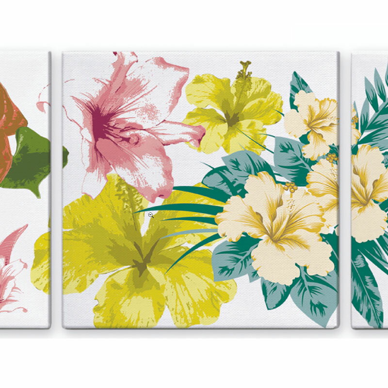 �����ȥѥͥ� TROPICAL FLOWERS �ȥ��ԥ���ե��� 3�祻�å� ���饹�� �����ȥե졼�� �ɾ��� ����ƥꥢ �����ȥѥͥ� ���� ����ƥꥢ �ɳݤ� ������ ������ ��ӥ� ���� �� �ץ쥼��� �۳� ���ե� �ݥ����� ������ ���� ����ƥꥢ ���� ����ƥ�����