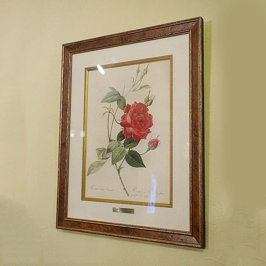 【スーパーセール限定価格】 絵画 インテリア 額入り ルドゥーテ 絵額 複製画 受注生産 『 レ ローズ バラ図譜 』 フォリオ判 大 銘木調フレーム 絵画 花...