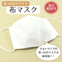 真っ白のサラサラ布マスク 《サラりとした生地で気持ちいい》白 ホワイト給食当番 無地 Lサイズ 洗える 立体マスク ニット 日本製 繰り返し ハンドメイド 手作り【メール便OK】