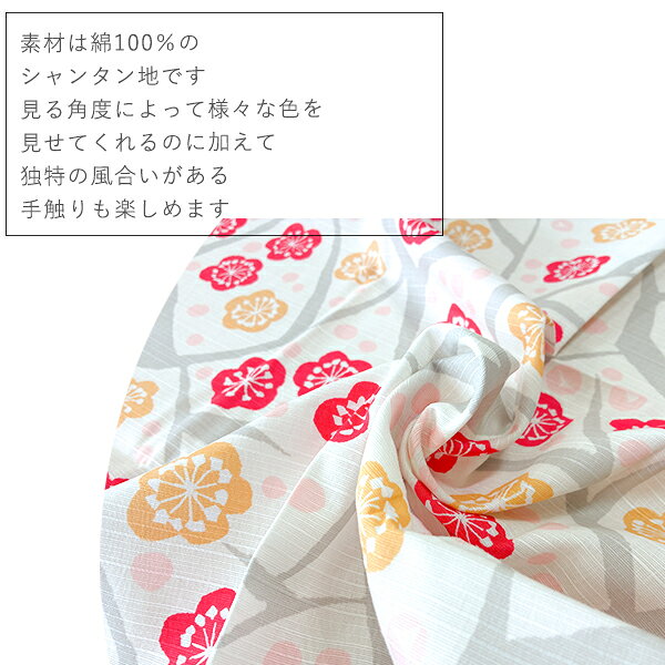 【100枚入×5セット】 のし紙 B4判 十本結切 京 22459308X5 雑貨(代引不可)【送料無料】