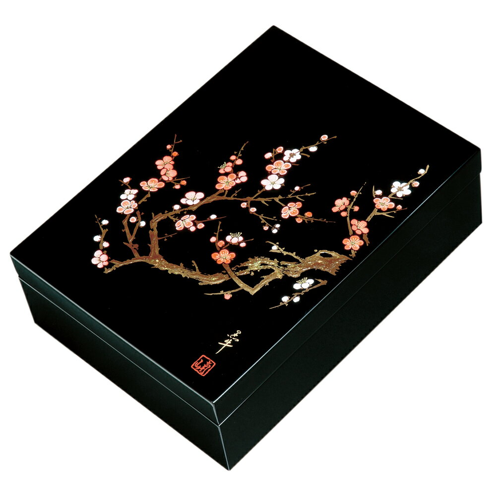  ʸ   33cm A4б   ॱ   Ȣ ʪ   