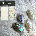 KiraNail Shell seat（シェルシート） ☆ ネイルパーツ ジェルネイル ポリッシュ ネイルアート ネイル用品 ジェルネイル用品 セルフネイル ネイリスト ハンドメイド レジン 薄い シェル 大きめ シート ニュアンスネイル 春ネイル 夏ネイル 海 フレーク かわいい シンプル