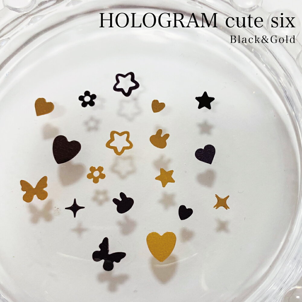 KiraNail HOLOGRAM 塼ȥå ֥å  ͥѡ ͥ ݥå ͥ륢 ͥ...