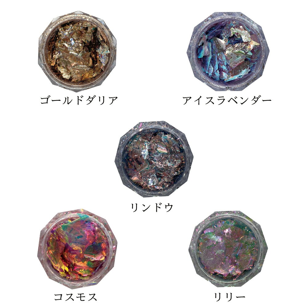 KiraNail Mystic Garden Flake 5色 ☆ ネイルパーツ ジェルネイル ポリッシュ ネイルアート ネイル用品 ジェルネイル用品 セルフネイル ネイリスト ハンドメイド レジン ラメ グリッター ホログラム スカルプ狂 ラメフレーク フレーク ニュアンスネイル 個性的 キラキラ 3