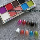 KiraNail グラデーションカラーピグメントセット 10色入 No.2 ☆ ネイルパーツ ジェルネイル ポリッシュ ネイルアート ネイル用品 ジェルネイル用...
