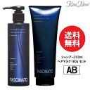 フィヨーレ ファシナート シャンプーAB 250ml&トリートメントAB 180g 【セット】 / FIOLE アミノバウンスタイプ ボリューム オーガニック ニオイ アミノ酸 美容室専売品 ヘアサロン専売品 ホームケア プレゼント ギフト 誕プレ エイジングケア 父の日 母の日 頭皮トラブル