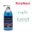 iv PAeNg CARETECT HBXLvVv[ 750ml