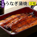 【送料無料!!】浜松・浜名湖 うなぎ