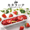 【送料無料!!】いちごたっぷりの札幌カタラーナ