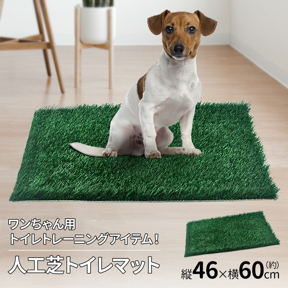  人工芝 46×60cm 犬 ペットシート おしっこマット ペットトイレシート ペットトイレ ペットシーツ トイレシーツ トイレ しつけ 洗える 室内 ペット用トイレ 犬用トイレ 送料無料