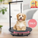 【LINE登録ですぐ使えるクーポン配布中】 トリミング台 犬 トリミングテーブル 回転 リード紐付き アーム付き 台面直径 60cm 回転トリミングテーブル 丸...