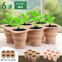【最大半額クーポン配布11/1 利用条件あり】 育苗ポット 丸 苗ポット 丸ポット シリコン シリコン製 6連タイプ 育苗 ポット 育苗トレイ 育苗トレー エコポット 育苗カップ カップ セット 繰り返し使える サスティナブル