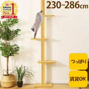 【LINE登録で100円OFFクーポン】 キャットタワー 突っ張り スリム 賃貸 省スペース 高さ230～286cm 突っ張りキャットタワー 突っ張り棒 木登り キャットステップ キャットウォーク 突っ張り式 突っぱり キャットツリー 送料無料 12ss