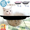  猫 窓 ハンモック 吸盤 透明 猫ベッド キャットステップ キャットウォーク 猫ハウス 窓用ハンモック 吸盤式 窓用 窓ガラス用 窓ガラス ガラス 宇宙船 おしゃれ 送料無料 3ss