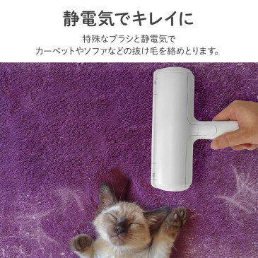 犬 抜け毛 掃除 ペット ブラシ クリーナー 猫 ほこり 髪の毛 被毛ケア 除毛 無駄毛 抜け毛取り 洋服 カーペット ラグ マット 犬用品 猫用品 犬の毛 猫の毛 ウサギ ペット 充電不要 電気不要 掃除用品 送料無料 1000円ポッキリ