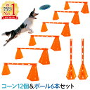 【半額クーポン5月1日10時～先着利用順3枚限定】 アジリティ 犬 ハードル コーン ドッグアジリテ ...