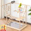 【最大半額クーポン配布11/1 利用条件あり】 インコ おもちゃ ブランコ 鳥の止まり木 バードアスレチッ..