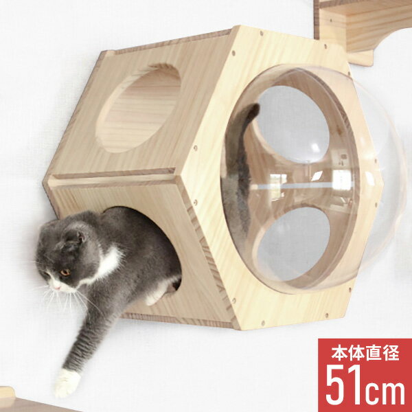 【LINE登録で100円OFFクーポン】 キャットウォーク 壁 壁付け 棚板 足場 猫 キャットステップ 木製 クリア 宇宙船 キャットタワー キャットハンモック クリアステップ キャット ステップ キャットツリー 送料無料 6ssのサムネイル