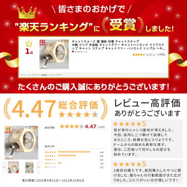 キャットウォーク 壁 壁付け 棚板 足場 猫 キャットステップ 木製 クリア 宇宙船 キャットタワー キャットハンモック クリアステップ キャット ステップ キャットツリー 送料無料 9ss