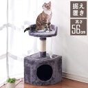  キャットタワー 据え置き スリム 省スペース 56cm キャットウォーク おしゃれ 大型猫 子猫 シニア ハウス 寝床 爪とぎ おもちゃ付き かわいい カーザ CT-KZ56 武田コーポレーション 送料無料