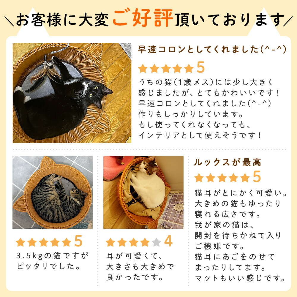 福袋2022猫ちぐらマット付き+メッシュハンモック猫ベッドキャットハウスバスケットちぐらペットハウスかご籠猫用猫用品犬用ウサギ用ペットちぐらペット用品おしゃれset送料無料